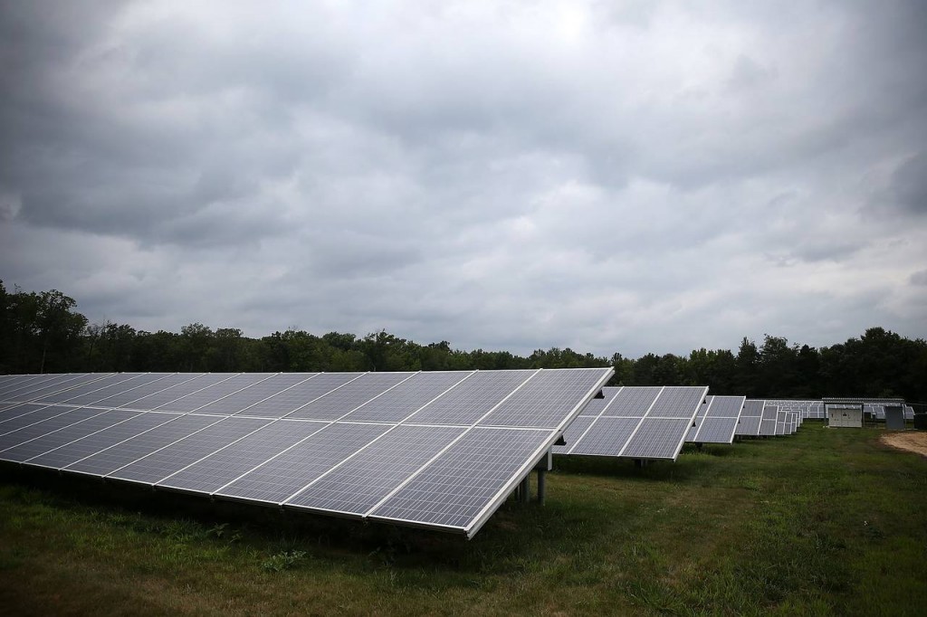 Solar panels at Southern Maryland Electric Cooperative Solar in Hughsville, Maryland. (Source: Getty Images)
