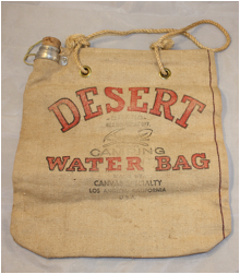 Who can screw up a water auction in the desert