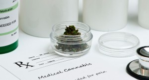 Nevada Medical Marijuana